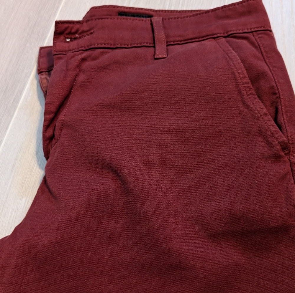 Adriano Goldschmied red pants 28R